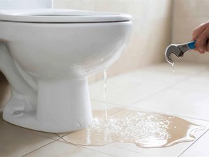 6 cosas que provocan que el inodoro pierda agua y cómo arreglarlas