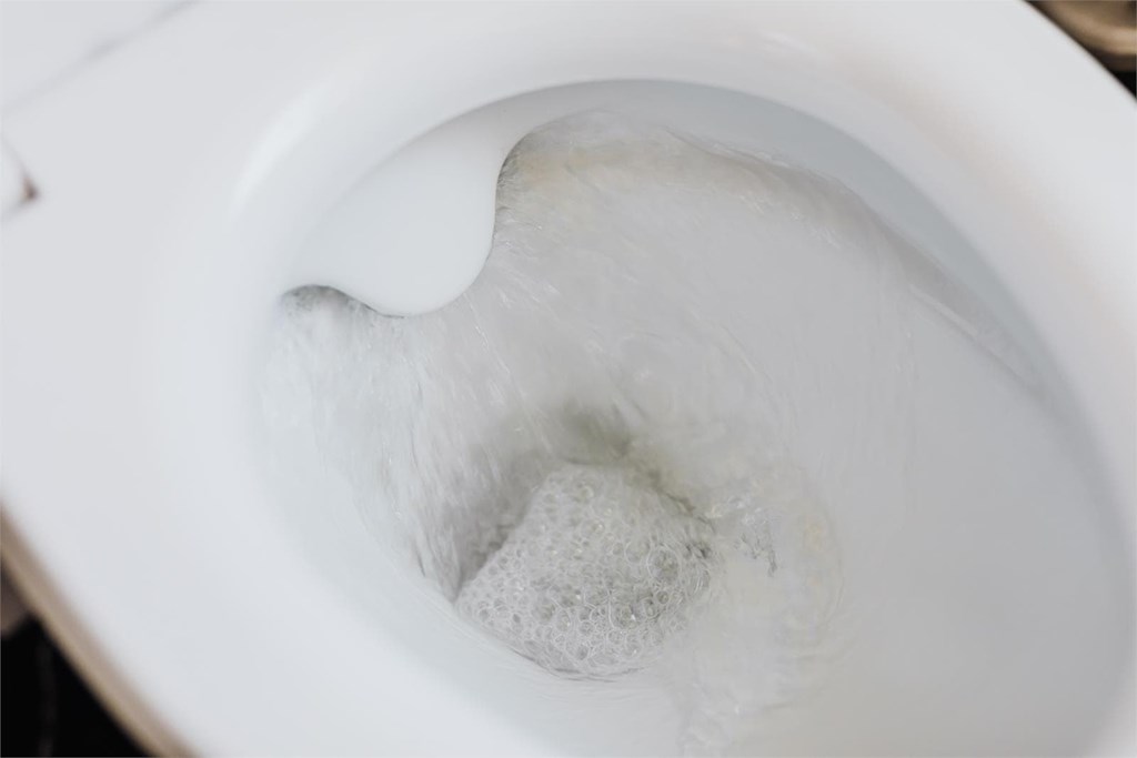 ¿Cómo evitar los atascos en los baños?